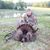 Gary Wiggins II's profile image