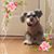 Carmen Garcia's profile image