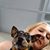 Shannon J. Winland's profile image