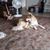 Anita Smith's profile image