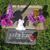 Karen Niner Ortiz's profile image