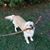 Wayne Boggess's profile image