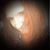 Carrie L Bear's profile image