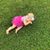 Emilea Kay Bruno's profile image