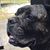 Angela Johnston Farley's profile image