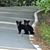 Lisa Braswell Crow's profile image