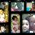 Lanesha L Robertson's profile image