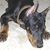 Denise Kahler's profile image