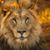 Jay Ivan Weintraub's profile image