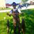 Raul Contreras's profile image