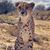Matthew Kranz's profile image
