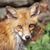 Chelle Belle Winslow's profile image