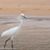Deanna Matheny's profile image