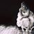 Jennifer Trautman's profile image