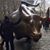 Armando Armendariz's profile image
