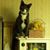 Irmine Banyas's profile image