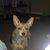 Candace Wilkerson's profile image