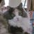 Cynthia McPeak Fulcher's profile image