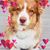 Lucille Riccio's profile image
