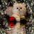 Kathy Beason's profile image