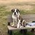 Rachel Thompson's profile image