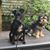 Karen L Johnson's profile image