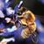 Jacky Sweitzer's profile image