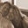Elisabeth Abernathy's profile image