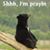 Dave Bear Feher's profile image
