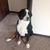 Teresa DeWitt's profile image