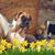 Margaret Arntz Gubry's profile image