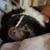 Tiffany Hall VanBlaricum's profile image