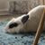 Christie Heng's profile image