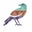 Matthew Sullivan's profile image