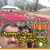 Girish Swami Chikmath's profile image