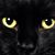 Lisa Gilliam's profile image