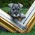Jackie Harris's profile image