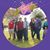 Donna Rothe's profile image