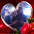 Lisa M Boehl's profile image