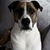 Patti Portlock's profile image