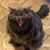 Lisa Sloat Lockridge's profile image