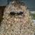 Andi Rung's profile image