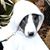 Diane Thomas's profile image