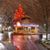 Debbie Warner Lofstrom's profile image