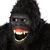 Eric Garcia's profile image