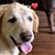 Jodi Nicholson Bernardino's profile image