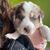 Jillanna Babb's profile image