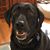 Amy Dichak's profile image