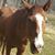 Angel Justice Rencher's profile image