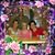 Susan Renee Zortman Hundt's profile image